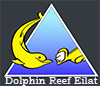 Logo Dolphin Reef
